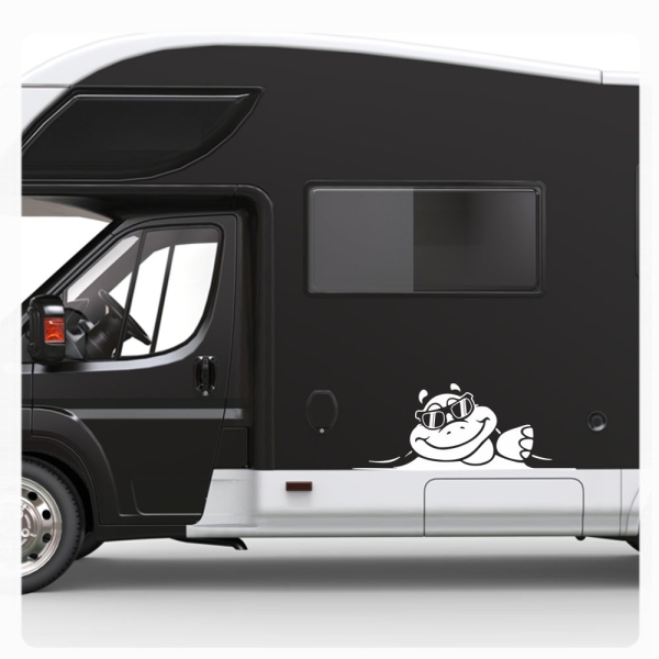 Schildkröte Sticker Aufkleber Autoaufkleber schaut raus Cool WoMo188